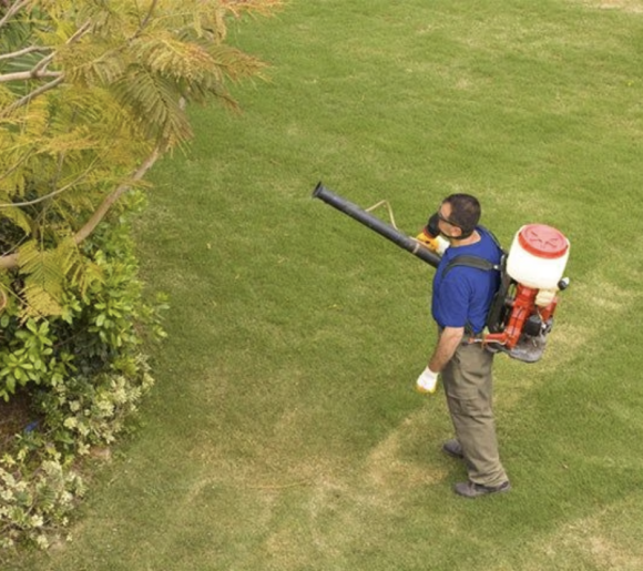 Pest lawn spraying